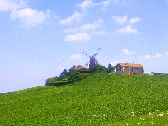 Champagne windmill-1.JPG